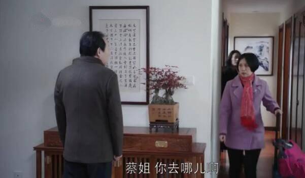 都挺好第41集分集剧情介绍