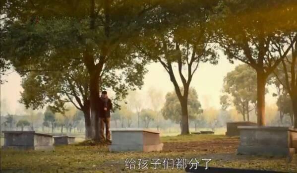 都挺好第45集分集剧情介绍