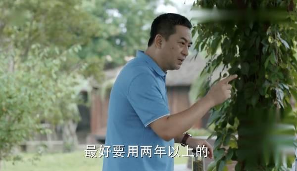 少年派第23集分集剧情介绍
