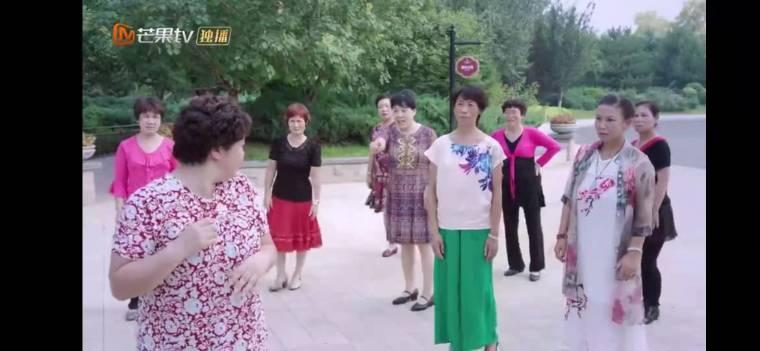 舒克与桃花第10集分集剧情介绍
