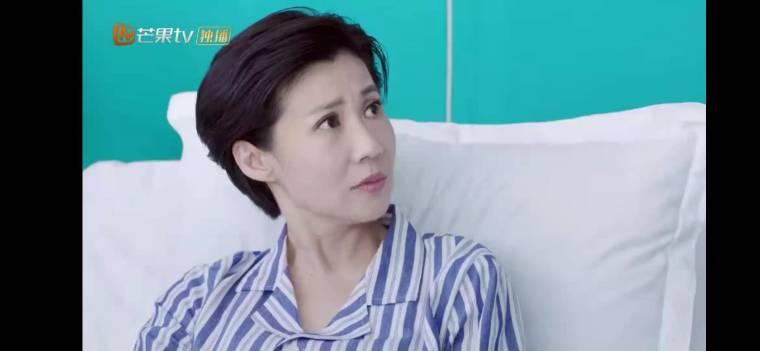 舒克与桃花第3集分集剧情介绍