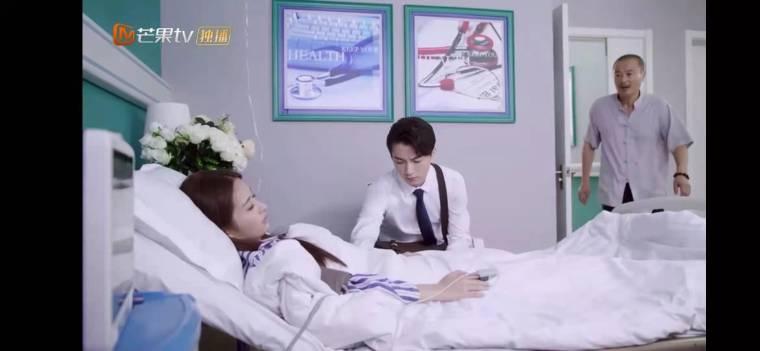 舒克与桃花第4集分集剧情介绍
