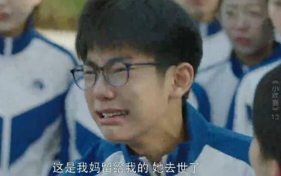 小欢喜第13集分集剧情介绍