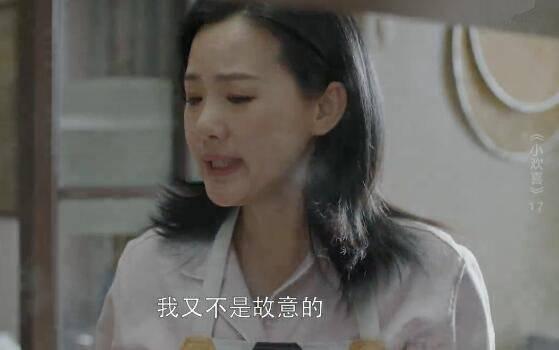 小欢喜第17集分集剧情介绍