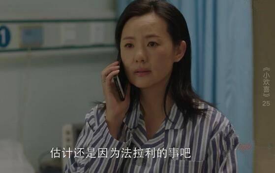 小欢喜第25集分集剧情介绍