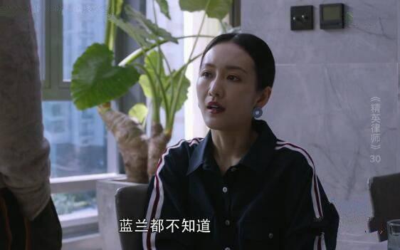 精英律师第30集分集剧情介绍