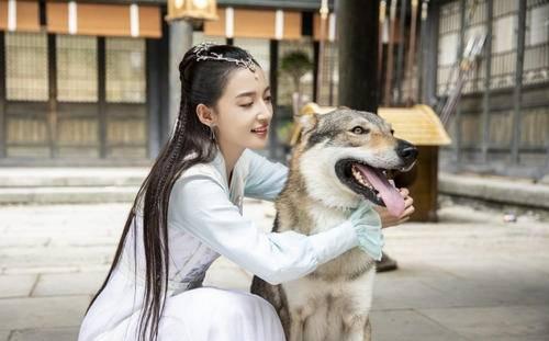 玲珑狼心第14集分集剧情介绍