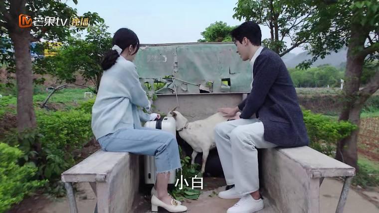 从结婚开始恋爱第20集分集剧情介绍