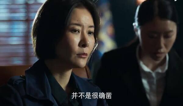 刑警之海外行动第29集分集剧情介绍