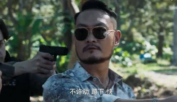 刑警之海外行动第31集分集剧情介绍