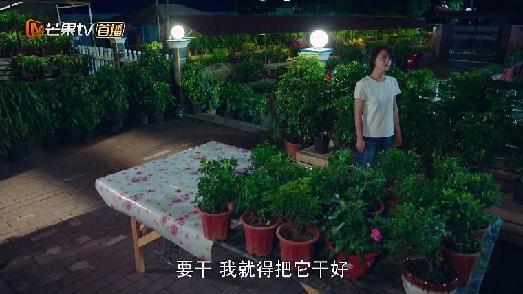 鲜花盛开的山村第5集分集剧情介绍