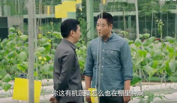 什刹海第25集分集剧情介绍