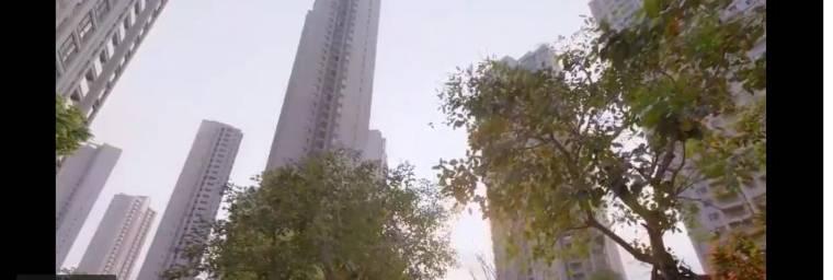 小风暴之时间的玫瑰第14集分集剧情介绍