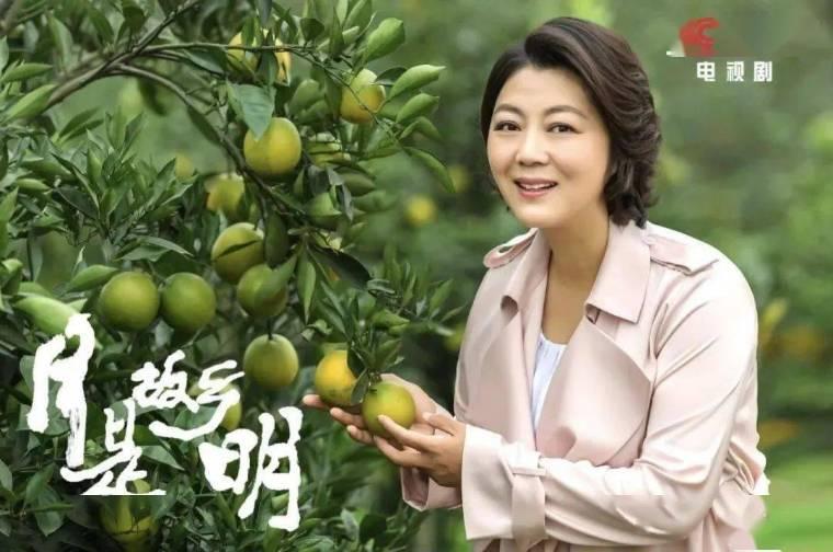 月是故乡明第1集分集剧情介绍