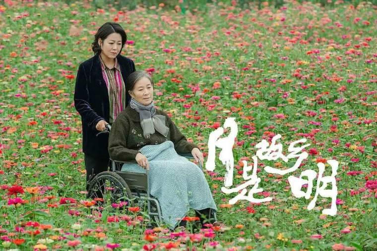 月是故乡明第5集分集剧情介绍
