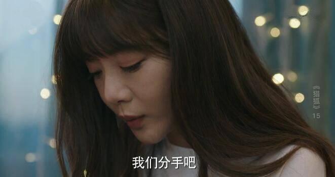 猎狐第15集分集剧情介绍
