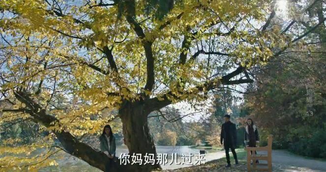 猎狐第43集分集剧情介绍