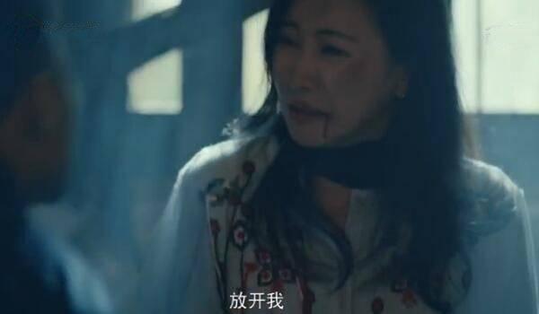 一场遇见爱情的旅行第27集分集剧情介绍