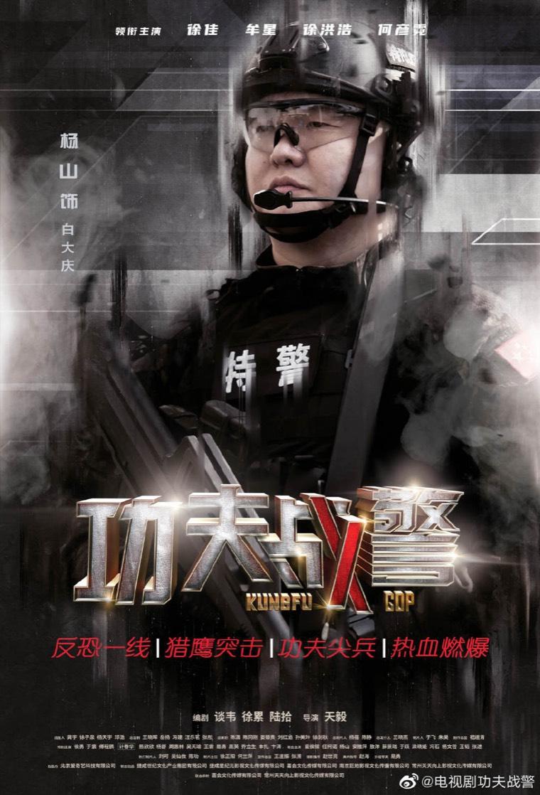 功夫战警第8集分集剧情介绍