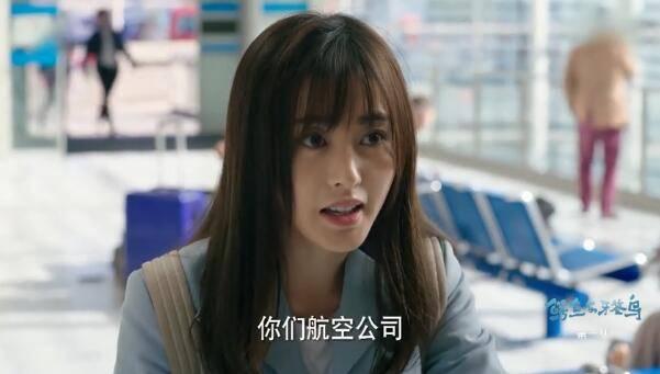 鳄鱼与牙签鸟第1集分集剧情介绍