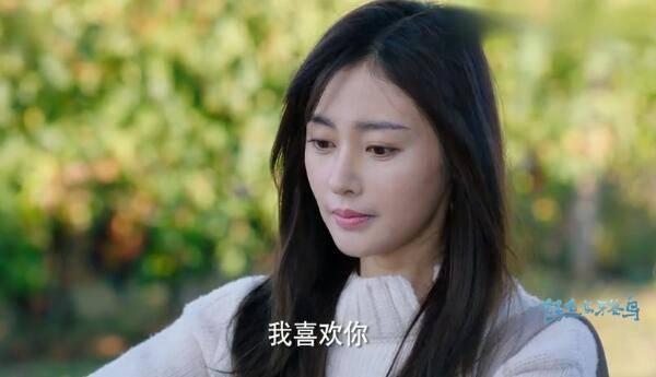 鳄鱼与牙签鸟第12集分集剧情介绍