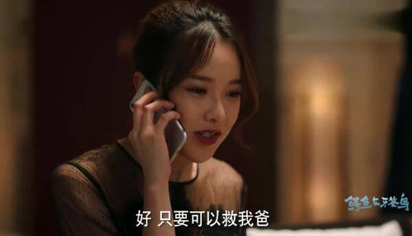 鳄鱼与牙签鸟第13集分集剧情介绍
