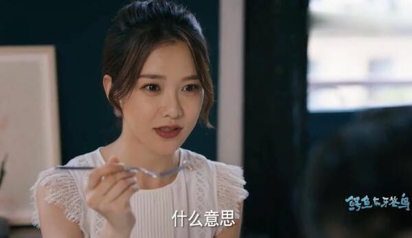 鳄鱼与牙签鸟第13集分集剧情介绍