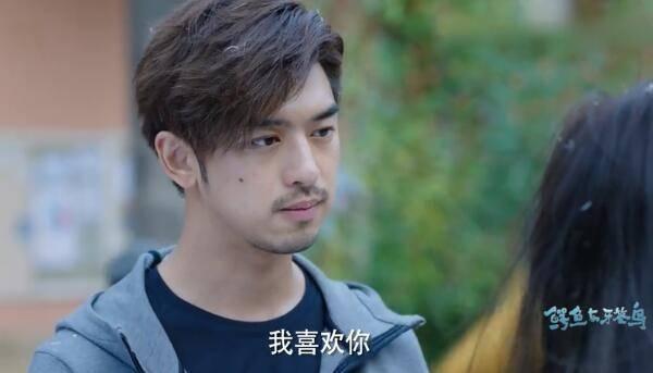 鳄鱼与牙签鸟第14集分集剧情介绍