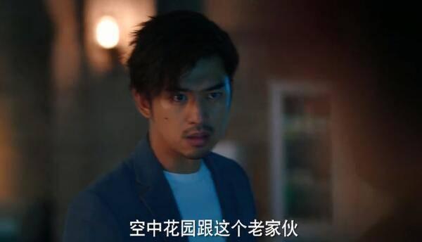 鳄鱼与牙签鸟第17集分集剧情介绍