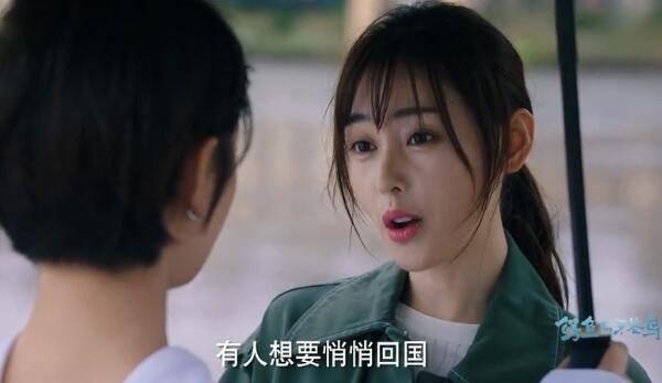 鳄鱼与牙签鸟第18集分集剧情介绍