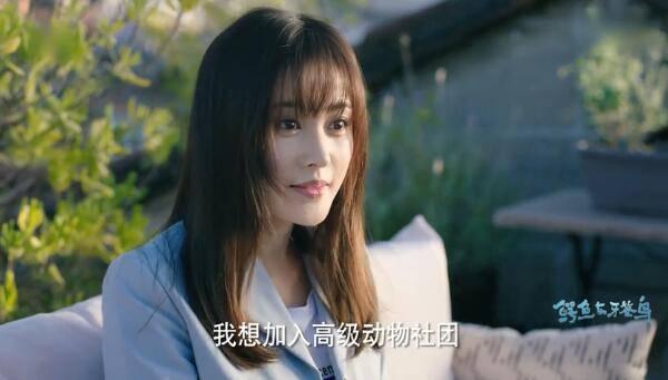 鳄鱼与牙签鸟第2集分集剧情介绍