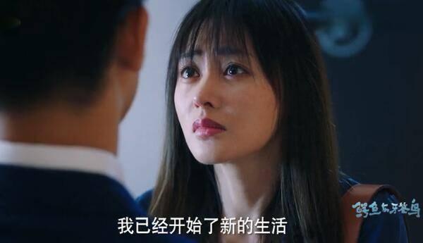 鳄鱼与牙签鸟第22集分集剧情介绍