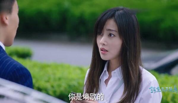鳄鱼与牙签鸟第22集分集剧情介绍