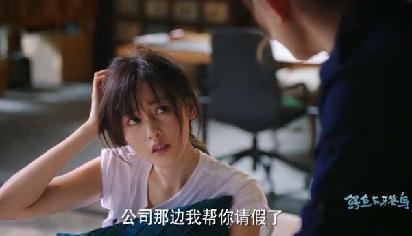 鳄鱼与牙签鸟第23集分集剧情介绍