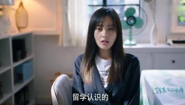 鳄鱼与牙签鸟第24集分集剧情介绍