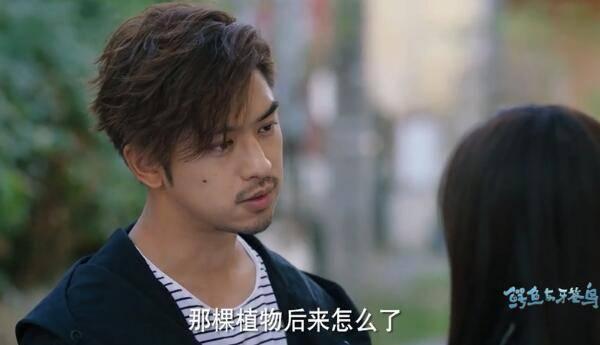 鳄鱼与牙签鸟第26集分集剧情介绍