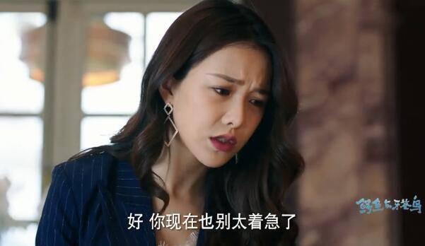鳄鱼与牙签鸟第28集分集剧情介绍