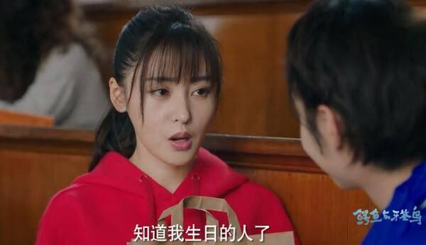 鳄鱼与牙签鸟第3集分集剧情介绍