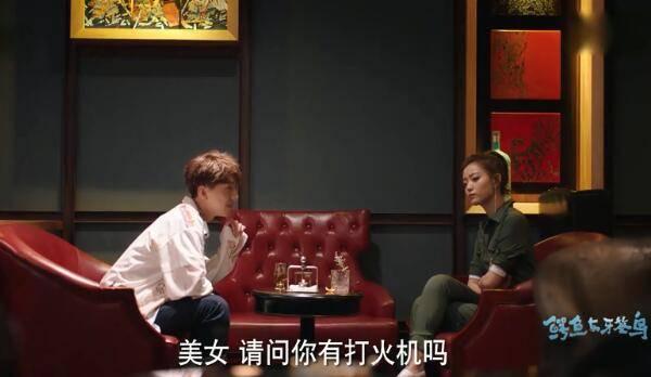 鳄鱼与牙签鸟第30集分集剧情介绍