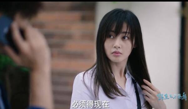 鳄鱼与牙签鸟第30集分集剧情介绍