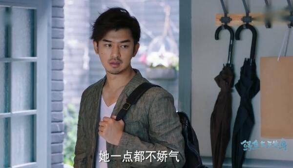 鳄鱼与牙签鸟第32集分集剧情介绍