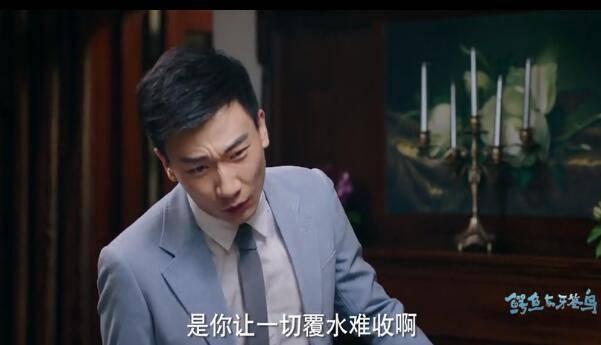 鳄鱼与牙签鸟第35集分集剧情介绍