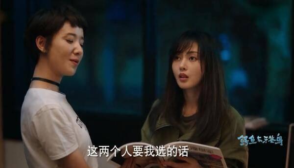 鳄鱼与牙签鸟第36集分集剧情介绍