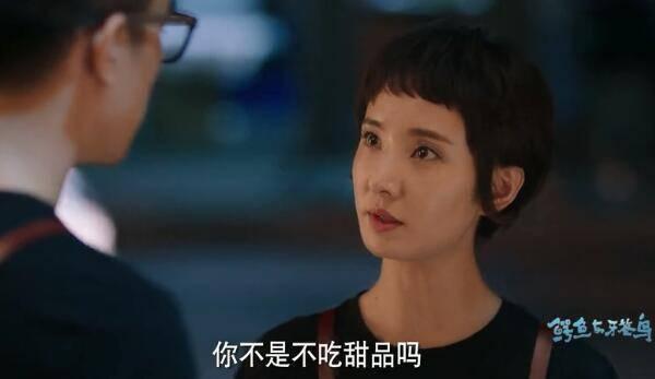 鳄鱼与牙签鸟第39集分集剧情介绍