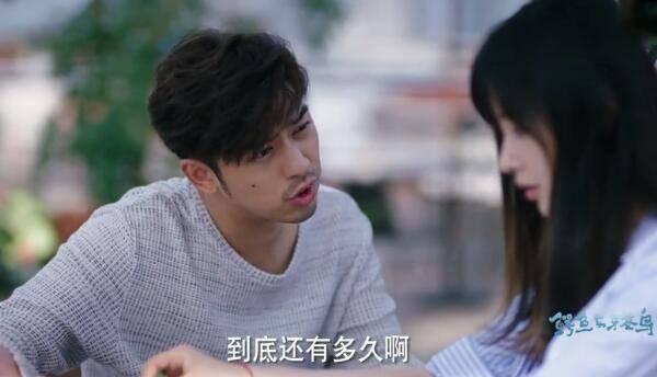鳄鱼与牙签鸟第40集分集剧情介绍