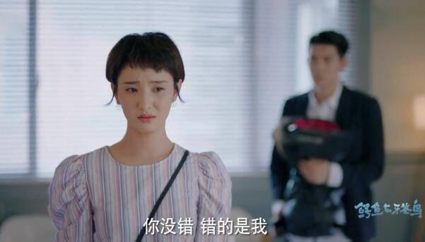 鳄鱼与牙签鸟第42集分集剧情介绍