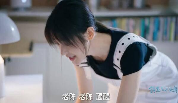 鳄鱼与牙签鸟第43集分集剧情介绍