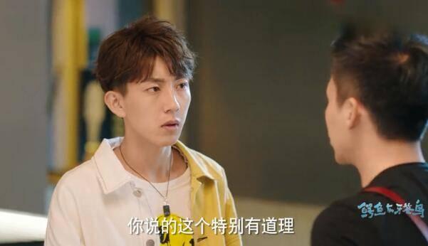 鳄鱼与牙签鸟第46集分集剧情介绍