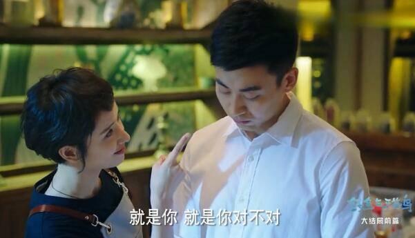 鳄鱼与牙签鸟第48集分集剧情介绍