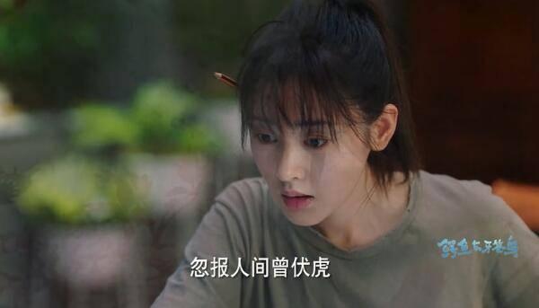 鳄鱼与牙签鸟第5集分集剧情介绍